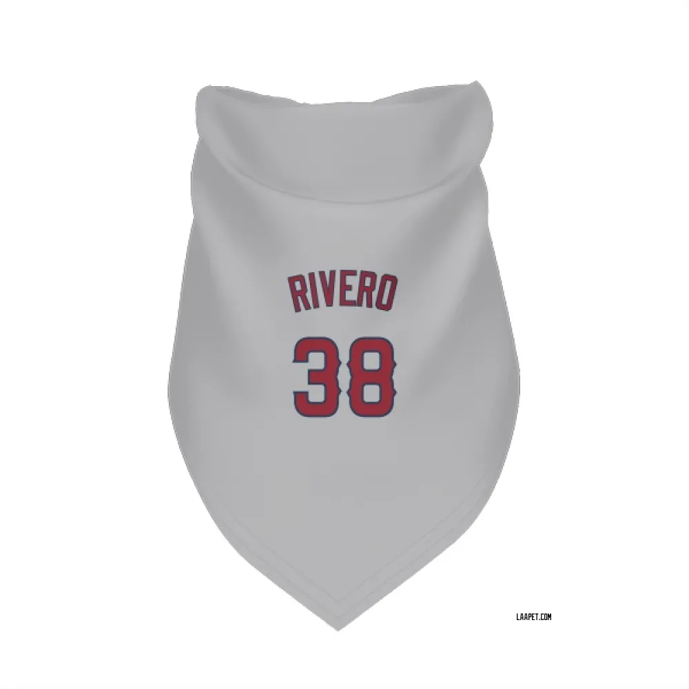Los Angeles Angels Sebastian Rivero Gray Pet Bandana for Dog & Cat