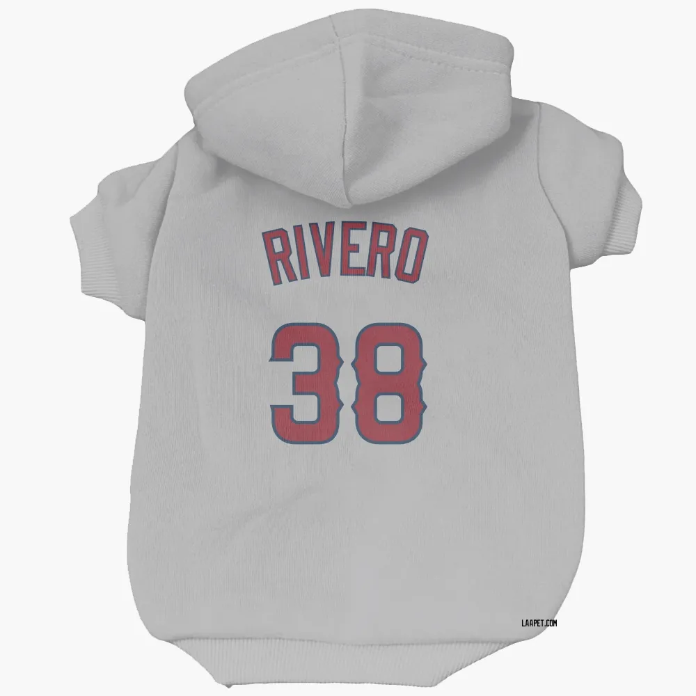 Los Angeles Angels Sebastian Rivero Gray Pet Hoodie for Dog & Cat