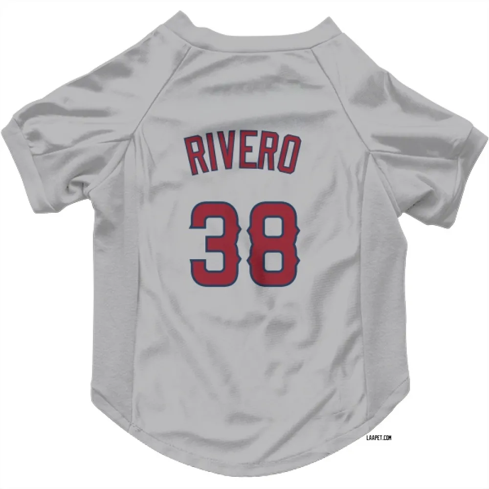 Los Angeles Angels Sebastian Rivero Gray Pet Jersey for Dog & Cat