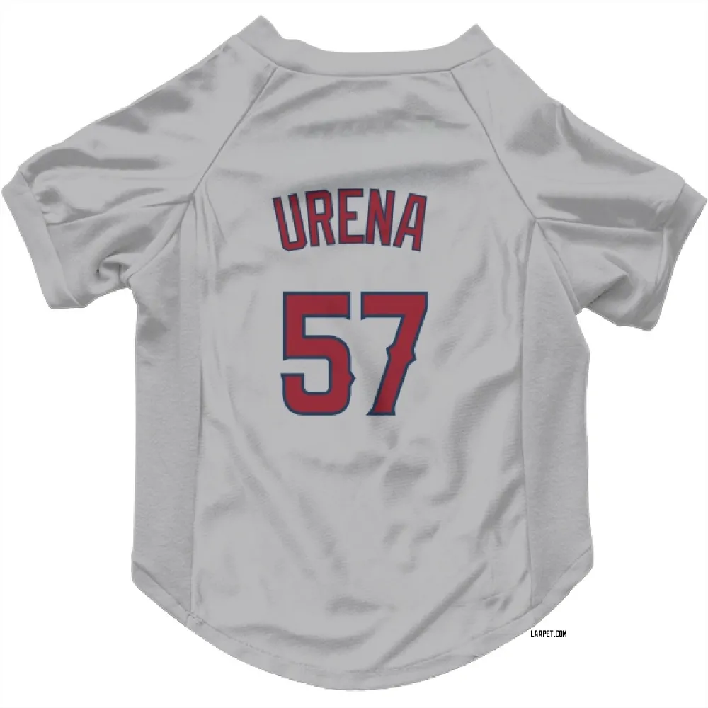 Los Angeles Angels Walbert Urena Gray Pet Jersey for Dog & Cat